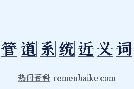 管道系统近义词是什么意思的图片